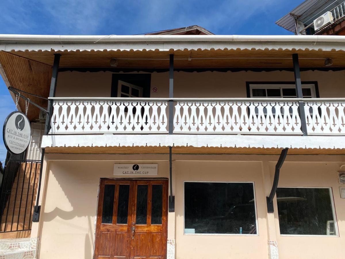 Cat In The Cup B&B Bocas del Toro Exterior photo