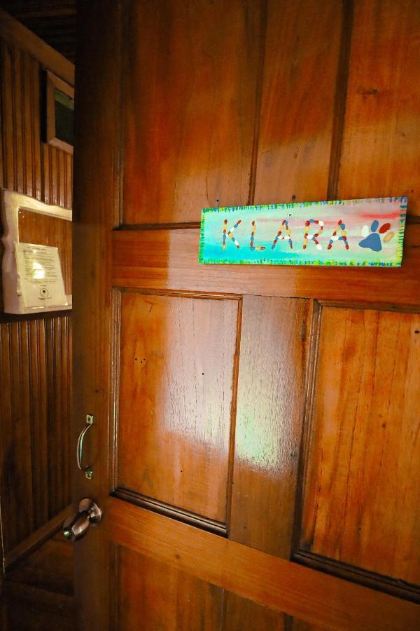 Cat In The Cup B&B Bocas del Toro Exterior photo